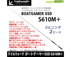 Tailwalk 22 BOATGAMER SSD S610M+