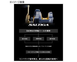 Daiwa 22 Saltiga 15-SJ