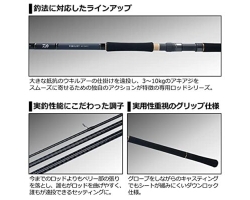 Daiwa 21 Pureist AK 116H-3