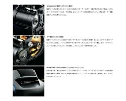 Daiwa  23 Leobritz 300J-L