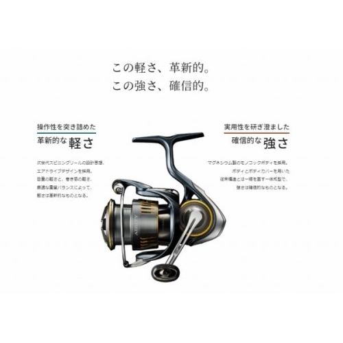 Daiwa 23  Airity LT2000S-H